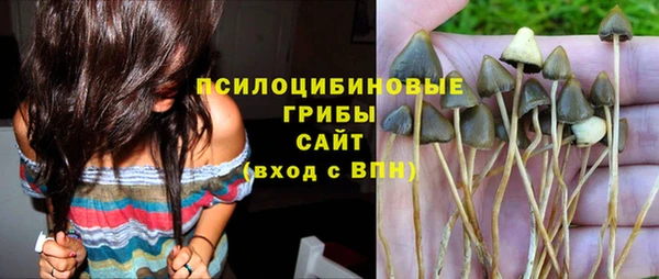 ECSTASY Алексеевка