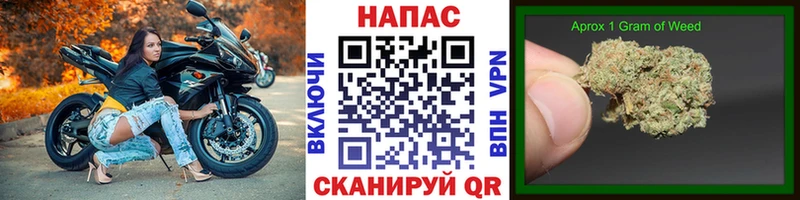 Бошки Шишки конопля  площадка клад  Шелехов 